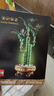 樂高（LEGO）積木 花植系列 永生花 創(chuàng)意diy拼裝玩具 男孩女孩生日禮物 10344 富貴竹 曬單實拍圖