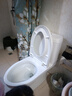 科勒（KOHLER）瑞琦馬桶雙沖水坐便器分體坐便器靜音緩降蓋板【國補15%】 分體馬桶+三件套 3991T-S2-0坑距305mm 曬單實拍圖