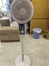 鉆石牌（DIAMOND）電風扇空氣循環(huán)扇落地扇家用風扇渦輪換氣扇循環(huán)對流風扇落地大風量立式節(jié)能輕音電扇 【3D送風·小杏運循環(huán)扇】機械/FX-L20 曬單實拍圖
