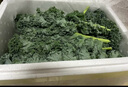 羽衣甘藍新鮮生鮮蔬菜嫩葉甘蘭芥藍西餐沙拉榨汁減肥減脂 羽衣甘藍分享4斤裝 曬單實拍圖
