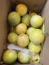 京鮮生欽蜜9號黃金百香果 3斤凈重90g+/9-15個  生鮮水果 源頭直發(fā) 曬單實拍圖