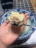 袁記味享x鮮京采 袁記云餃鮮蝦蟹籽三拼云吞拼盤24顆500g鮮肉早餐餛飩 曬單實拍圖