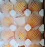 京覓黃桃水果蒙陰桃子新鮮黃金蜜桃 凈重4.5斤 單果130g起 源頭直發(fā) 曬單實拍圖