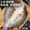 賣(mài)魚(yú)七郎三去開(kāi)背海鱸魚(yú)凈重2.8斤 共3條去鱗去腮去內(nèi)臟 生鮮魚(yú)類(lèi)海鮮水產(chǎn) 曬單實(shí)拍圖