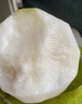 博多客正宗碭山青梨新鮮水果 皇冠梨當(dāng)季翠冠梨香酥脆蜜早雪梨整箱包郵 3斤（4-6個(gè)） 曬單實(shí)拍圖