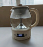 小熊（Bear）煮茶器煮茶壺 養(yǎng)生壺烹煮一體茶壺迷你蒸茶器 316L噴淋式不銹鋼燒水壺黑茶茶具1升ZCQ-F10N7 曬單實(shí)拍圖