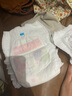 艾薇兒Alvin奇幻森林蠶絲柔軟拉拉褲XXXL碼34片夜用安睡褲薄款透氣夏天 曬單實拍圖