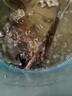 老鬼（OLDGHOST）魚(yú)餌 一包餌一筐魚(yú)大板鯽250g 一包搞定鯽鯉草鳊翹嘴魚(yú)食餌料 曬單實(shí)拍圖