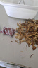 鹿茸菇干貨鹿茸菌500g毛重古田脆脆菇新鮮土特產(chǎn)煲湯食材香菇 【當(dāng)季新貨】農(nóng)家鹿茸菇 1000克【2斤】 曬單實拍圖