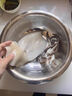 冰凌橙夏 新鮮大魷魚原條冷凍深海烏賊大鐵板魷魚燒烤火鍋食材海鮮水產(chǎn) 新鮮整條大魷魚 3斤(凈重)  4條 7-8兩/條 曬單實拍圖