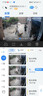 海爾（Haier）mate29s升級(jí)款超薄滾筒洗衣機(jī)全自動(dòng)家用10公斤大容量 24年新品507S 以舊換新國(guó)家政府補(bǔ)貼20% 507洗脫超薄+防生銹+除菌螨+1.1洗凈比 曬單實(shí)拍圖