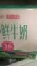 天潤（TERUN） 新疆產地  A2β-酪蛋白鮮奶 3.8g優(yōu)質蛋白低溫鮮牛奶 210g*6瓶  曬單實拍圖