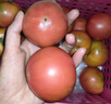 京鮮生 山東鐵皮草莓西紅柿 凈重4.5斤 單果60-150g水果番茄源頭直發(fā) 曬單實(shí)拍圖