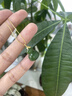 可玉可求 新寵和田碧玉吊墜女 18K金鑲嵌精致鎖骨鏈 玉石項鏈節(jié)日生日禮物 玉葫蘆 M9723z 曬單實拍圖