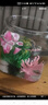 高透加厚魚(yú)缸 斗魚(yú)金魚(yú)缸帶底托一體型耐摔客廳懶人桌面生態(tài)缸 升級款超大號底座魚(yú)缸【高透/久用不糊】 曬單實(shí)拍圖
