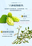 Bigen美源發(fā)采快速黑發(fā)霜染發(fā)膏（天然棕色 884）進(jìn)口快速染發(fā)健康遮白 曬單實(shí)拍圖