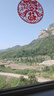 彪馬PUMA商務(wù)風(fēng)春夏季短袖T恤POLO衫男子休閑翻領(lǐng)上衣690644 L 曬單實(shí)拍圖