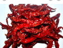 秦阿妹陜西農(nóng)家秦椒干香而不辣的干辣椒微辣香油潑辣辣椒線椒500克 曬單實(shí)拍圖