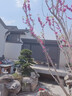 鑄梵戶外涼亭庭院鋁合金電動(dòng)歐式遮陽棚別墅花園樓頂現(xiàn)代帶燈中式亭子 定制其它款式或尺寸【咨詢客服】 曬單實(shí)拍圖
