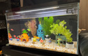 阿拖（ATUO）小米魚缸造景裝飾擺件 菠蘿屋水族 卡通公仔海綿寶寶躲避屋套裝 曬單實(shí)拍圖