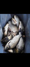 川澤免調(diào)漂魚鉤線組套裝浮漂金袖子線雙鉤高靈敏魚漂釣魚新手組合套裝 【3.6M】免調(diào)漂套裝（日用款） 線號1.0 曬單實(shí)拍圖