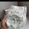 碧芭寶貝盛夏光年拉拉褲XXXXL24片(≥19kg)學(xué)步褲 夏季超薄 透氣超大號 曬單實拍圖