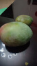 【新鮮上市】正宗攀枝花凱特芒果新鮮水果 帶箱2斤200g+ 曬單實(shí)拍圖