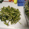 自種紅薯葉嫩尖新鮮食用番薯葉農(nóng)家時(shí)令蔬菜當(dāng)季紅薯葉新鮮 三斤紅薯葉 曬單實(shí)拍圖