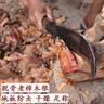 天然老根香樟木塊木地板防蟲蛀衣柜鞋柜防蟲書柜木質(zhì)家具防蟲驅(qū)蟲 3斤【15平方木地板下防蟲】 曬單實(shí)拍圖