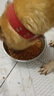 力狼狗糧 純?nèi)唤鹈⒗辜?0拉布拉多薩摩耶馬犬德牧中大型犬糧 幼犬20kg40斤 曬單實拍圖