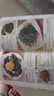 美味爽口涼菜大全 家常菜譜大全家用食譜書微腌漬 腌菜書籍自制泡菜醬菜涼拌菜干菜開胃小炒菜 新手入門零基礎(chǔ)學(xué)做菜涼菜教程書籍 美味爽口涼菜大全 曬單實(shí)拍圖