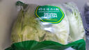 【高原夏菜】鐘靈山羅馬生菜400g 曬單實(shí)拍圖