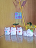 赟婭微景觀(guān)創(chuàng  )意可愛(ài)元氣小豬公仔桌面工位樹(shù)脂工藝品裝飾配件車(chē)載擺件 元氣小豬一套4只 曬單實(shí)拍圖