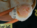 頭廚手作水晶蝦餃皇400g共20只廣式早茶點心兒童早餐食品半成品速食 曬單實拍圖