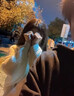 香奈兒可可小姐經(jīng)典香水持久留香 生日禮物女生實(shí)用高端 七夕情人節(jié)禮物 【HOT】香奈兒COCO小姐50ml淡香 禮盒裝 曬單實(shí)拍圖