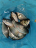 川澤免調(diào)漂魚鉤線組套裝浮漂金袖子線雙鉤高靈敏魚漂釣魚新手組合套裝 【3.6M】免調(diào)漂套裝（日用款） 線號2.0 曬單實(shí)拍圖