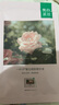 一葉子（one leaf）精華液女補(bǔ)水保濕熬夜暗沉修護(hù)提亮膚色煙酰胺緊致抗皺護(hù)膚品男女 【到手30支】美白次拋精華液 曬單實(shí)拍圖