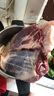 中農(nóng)順 西北黃牛原切金錢腱3斤 牛肉生鮮 牛腱子健身食材 清真 源頭直發(fā) 曬單實(shí)拍圖