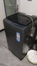 海爾（Haier）波輪洗衣機(jī)小型全自動(dòng)懶人家用 家電國(guó)家補(bǔ)貼20% 以舊換新 一級(jí)能效宿舍出租房 XQB80-Z10D0單脫水 曬單實(shí)拍圖