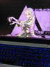 七彩虹隱星G16 Pro 2025旗艦新款16英寸 14代酷睿i9 RTX5070ti/5080/5060 P16游戲筆記本電腦高性能設(shè)計(jì) 標(biāo)i9-13900HX/5070TI/32G1T 電競獨(dú)顯 曬單實(shí)拍圖