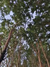 維達（Vinda）抽紙 紙巾3層加厚300張軟抽 餐巾紙擦手紙家用衛(wèi)生紙 3層 300張*8包 曬單實拍圖