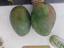 【新鮮上市】正宗攀枝花凱特芒果新鮮水果 帶箱2斤200g+ 曬單實(shí)拍圖