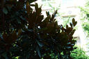 松下S5M2（20-60mm F3.5-5.6）（Panasonic）S5二代 全畫幅微單相機(jī) 約2420萬有效像素 新相位混合對焦 曬單實(shí)拍圖