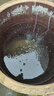 松寶（sobo）魚(yú)缸增氧泵氧氣泵養(yǎng)魚(yú)充氧泵小型家用制氧機(jī)水族箱增氧機(jī) 8W四孔 曬單實(shí)拍圖