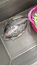 往牧叉尾鮰魚 三去開背 青江魚烤魚  腌制半成品 冷凍生鮮 江團魚 1.2-1.4斤 曬單實拍圖