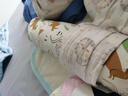 babycare嬰兒安撫枕頭寶寶多功能抱枕透氣枕頭6月-6歲-比奇角恐龍39*12cm 曬單實(shí)拍圖