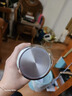 SIMELO施美樂玻璃杯雙層帶茶隔大容量商務車載泡茶杯水杯450ml 大師鈦銀 曬單實拍圖