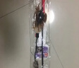 貴為（GiGwi）逗貓玩具小貓咪幼貓磨牙耐咬原生羽毛長毛絨逗貓棒寵物玩具 曬單實拍圖