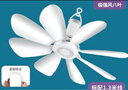 揚子小吊扇小型微風(fēng)扇宿舍學(xué)生蚊帳電風(fēng)扇床上家用靜音大風(fēng)力迷你風(fēng)大音輕 8葉款420小吊扇+3米遙控定時線 無規(guī)格 曬單實拍圖