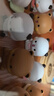 名創(chuàng)優(yōu)品（MINISO）一二和布布的日常第2彈盲盒手辦擺件玩具生日七夕情人節(jié)禮物男女 曬單實拍圖